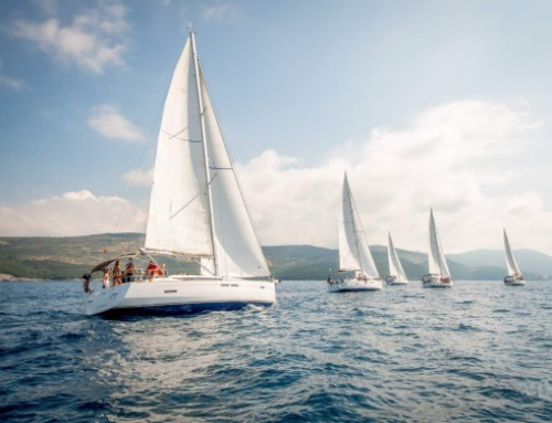 Navigare in flottiglia