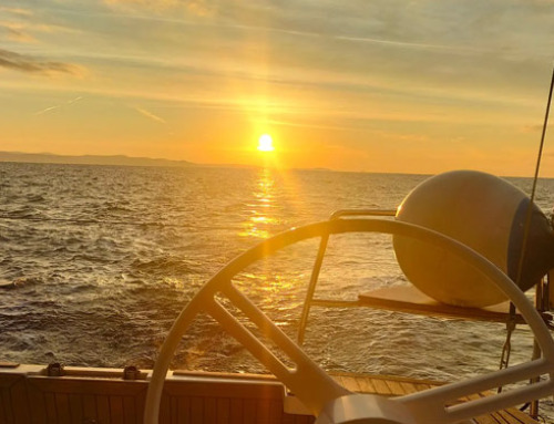 Navigare è un’arte!