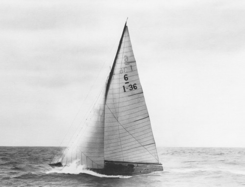 Sua maestà il genoa